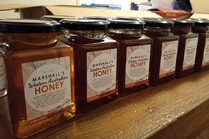 Marshall's Western Australia Honey